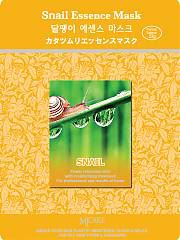 Baba De Caracol Masque