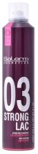 Spray Fixateur 03 Strong Lac 300 ml Spray Fixateur 03 Strong Lac 300 ml