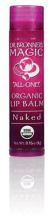 Organic Lip Balm 4 gr