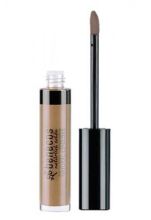 Brillant &agrave; l&egrave;vres