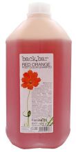 Back Bar Red Orange Shampoing 5000 ml Back Bar Red Orange Shampoing 5000 ml