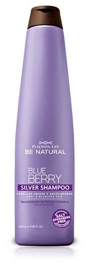 Blueberry Silver Shampooing 350 ml