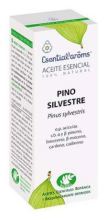 Essence de pin sauvage 5 ml Essence de pin sauvage 5 ml