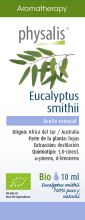 Eucalyptus Smithii Essence 10 ml