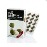 Extrait et poudre d&#39;Agaricus Subrufescens 60 gélules