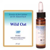 Fm 36 Wild Avoine 10 ml Fm 36 Wild Avoine 10 ml