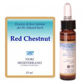Fm 25 Châtaigne Rouge 10 ml Fm 25 Châtaigne Rouge 10 ml