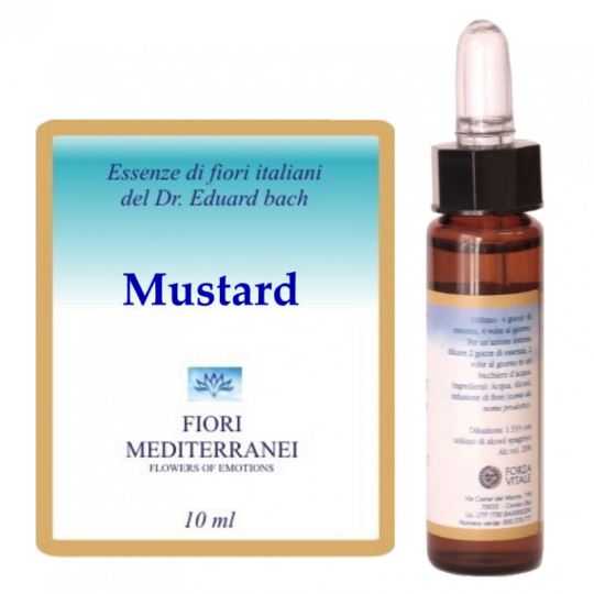Forza Vitale Fm 21 Moutarde 10 ml