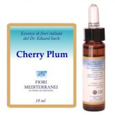 Fm 6 Prune Cerise 10 ml Fm 6 Prune Cerise 10 ml
