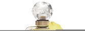 Dans Ma Bulle de Fleurs Eau de Toilette